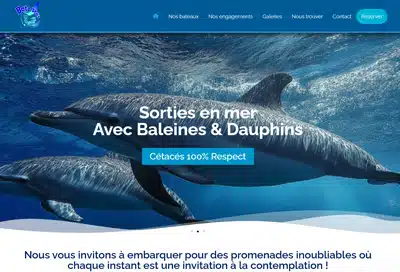 Création de site internet Réunion - Constructeur à la Réunion